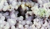 Purple, Botryoidal Grape Agate - Indonesia #55025-2